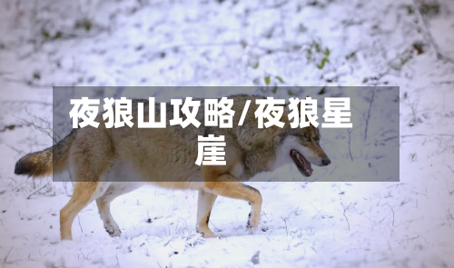 夜狼山攻略/夜狼星崖