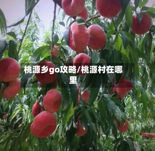 桃源乡go攻略/桃源村在哪里-第2张图片