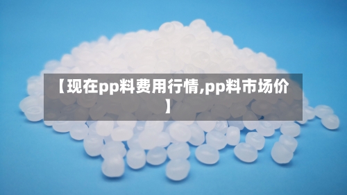 【现在pp料费用行情,pp料市场价】-第2张图片