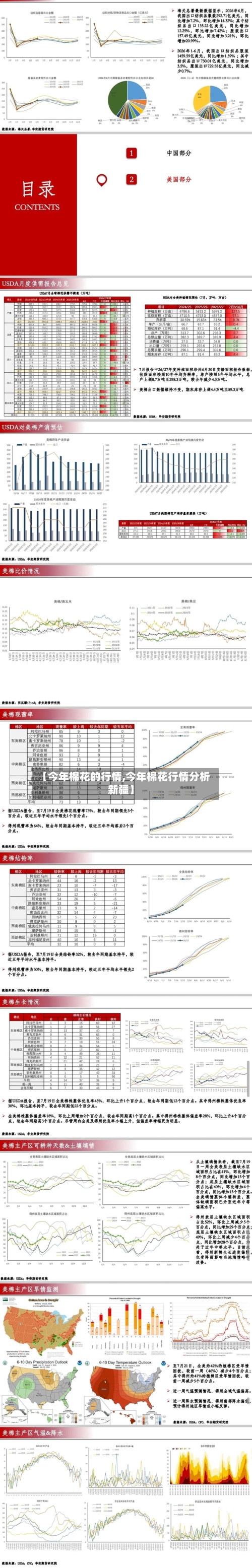 【今年棉花的行情,今年棉花行情分析新疆】