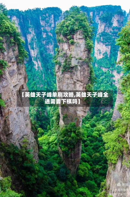 【英雄天子峰单刷攻略,英雄天子峰全通需要下棋吗】