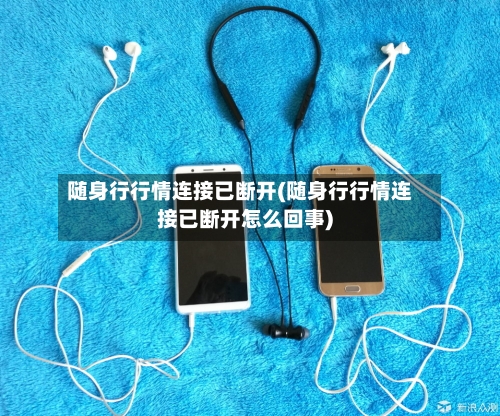 随身行行情连接已断开(随身行行情连接已断开怎么回事)-第2张图片