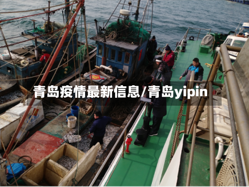 青岛疫情最新信息/青岛yipin