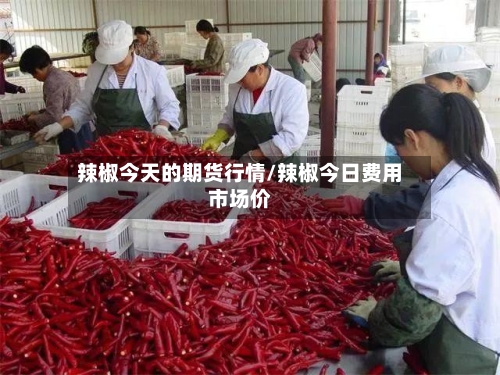 辣椒今天的期货行情/辣椒今日费用市场价
