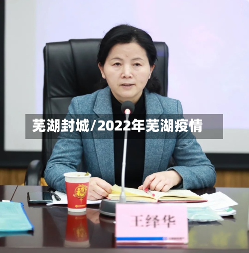 芜湖封城/2022年芜湖疫情