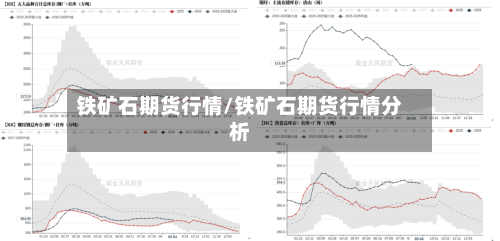 铁矿石期货行情/铁矿石期货行情分析