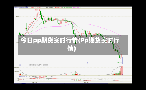 今日pp期货实时行情(Pp期货实时行情)-第1张图片