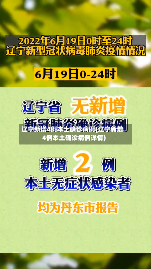 辽宁新增4例本土确诊病例(辽宁新增4例本土确诊病例详情)-第2张图片