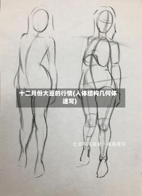 十二月份大豆的行情(人体结构几何体速写)-第3张图片