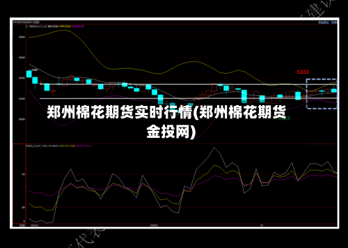 郑州棉花期货实时行情(郑州棉花期货金投网)-第2张图片