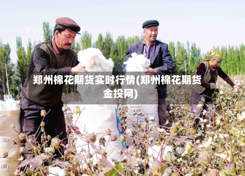 郑州棉花期货实时行情(郑州棉花期货金投网)