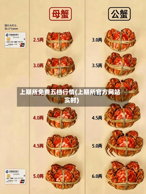 上期所免费五档行情(上期所官方网站实时)-第2张图片