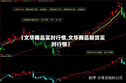 【文华商品实时行情,文华商品期货实时行情】-第2张图片