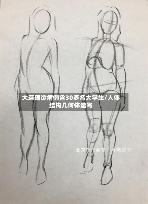 大连确诊病例含30多名大学生/人体结构几何体速写
