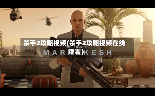 杀手2攻略视频(杀手2攻略视频在线观看)-第2张图片