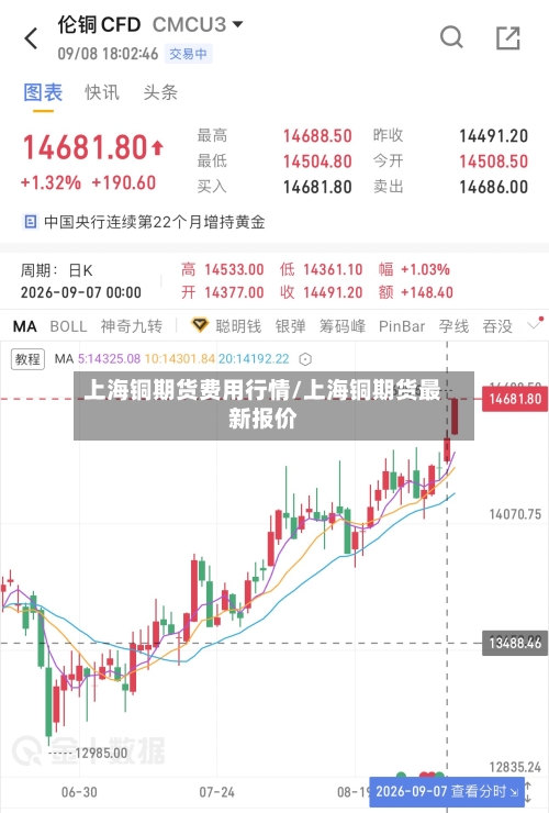 上海铜期货费用行情/上海铜期货最新报价