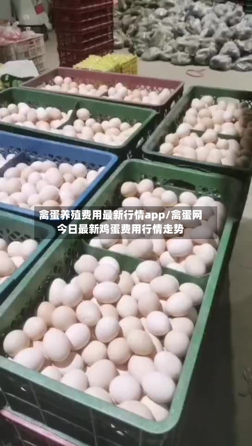 禽蛋养殖费用最新行情app/禽蛋网今日最新鸡蛋费用行情走势-第2张图片