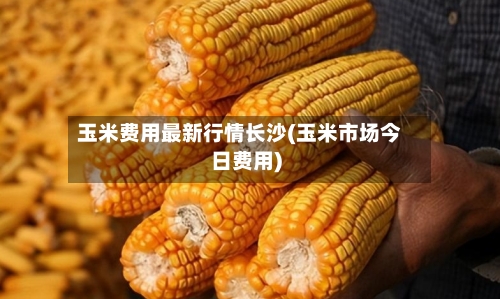 玉米费用最新行情长沙(玉米市场今日费用)-第2张图片
