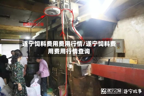 遂宁饲料费用费用行情/遂宁饲料费用费用行情查询