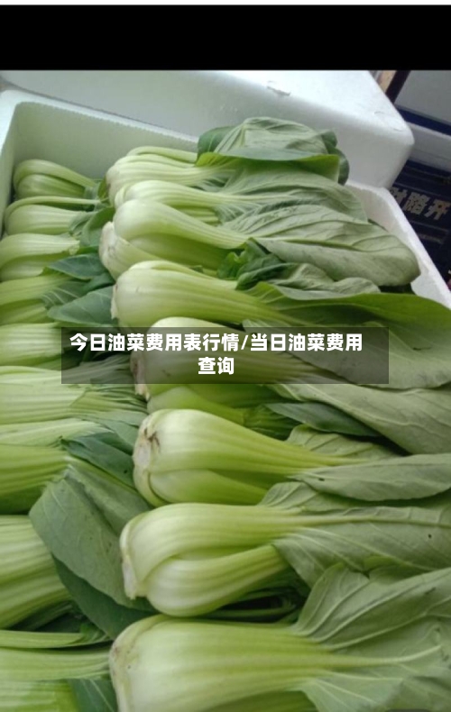 今日油菜费用表行情/当日油菜费用查询-第3张图片