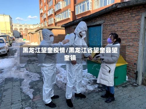 黑龙江望奎疫情/黑龙江省望奎县望奎镇-第3张图片