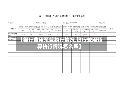 【银行费用预算执行情况,银行费用预算执行情况怎么写】-第3张图片