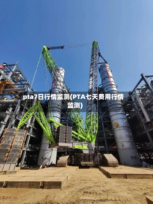 pta7日行情监测(PTA七天费用行情监测)-第2张图片