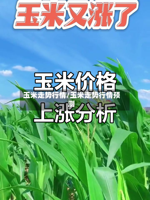 玉米走势行情/玉米走势行情预测-第1张图片