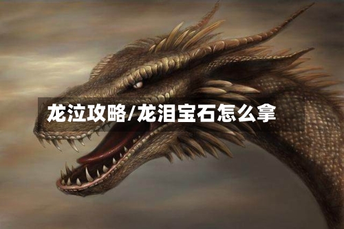 龙泣攻略/龙泪宝石怎么拿
