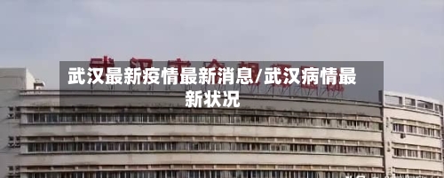 武汉最新疫情最新消息/武汉病情最新状况