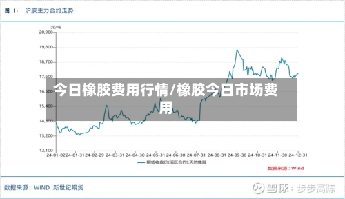 今日橡胶费用行情/橡胶今日市场费用-第2张图片