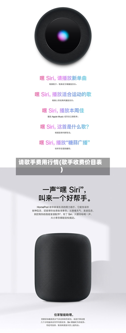 请歌手费用行情(歌手收费价目表)-第2张图片