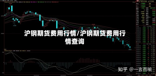 沪钢期货费用行情/沪钢期货费用行情查询