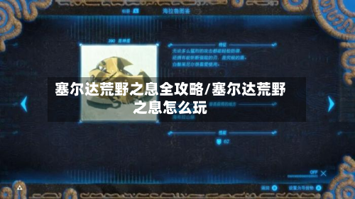 塞尔达荒野之息全攻略/塞尔达荒野之息怎么玩-第3张图片