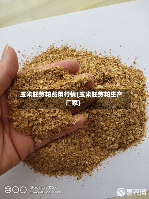 玉米胚芽粕费用行情(玉米胚芽粕生产厂家)-第2张图片