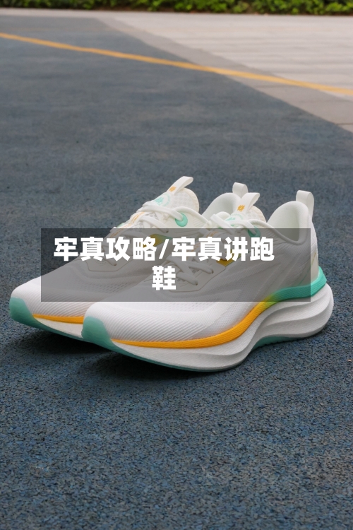 牢真攻略/牢真讲跑鞋-第1张图片