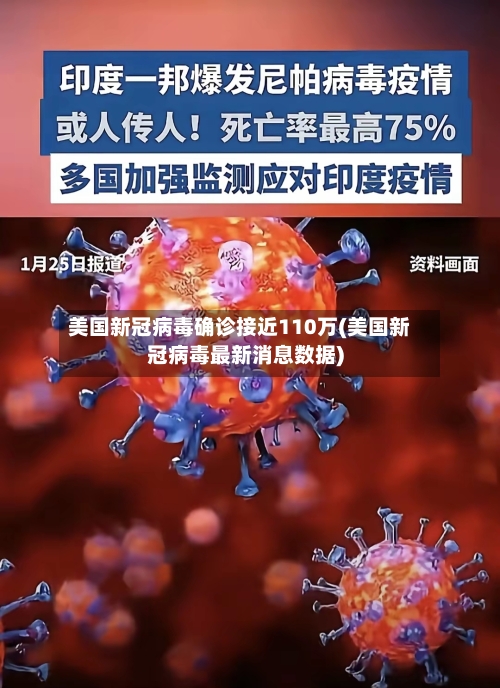 美国新冠病毒确诊接近110万(美国新冠病毒最新消息数据)-第2张图片