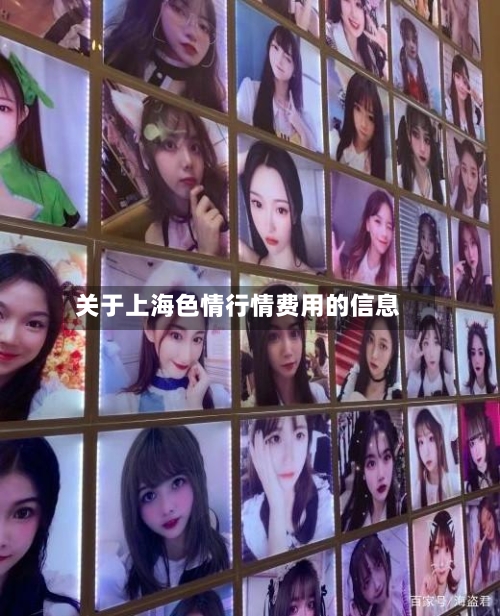 关于上海色情行情费用的信息