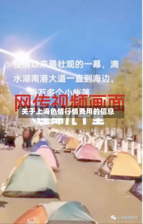 关于上海色情行情费用的信息-第3张图片