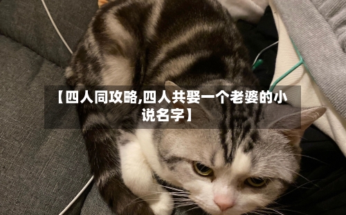 【四人同攻略,四人共娶一个老婆的小说名字】-第1张图片