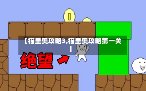 【猫里奥攻略3,猫里奥攻略第一关】