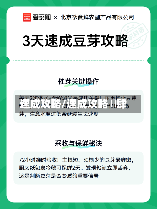 速成攻略/速成攻略 惗肆-第1张图片