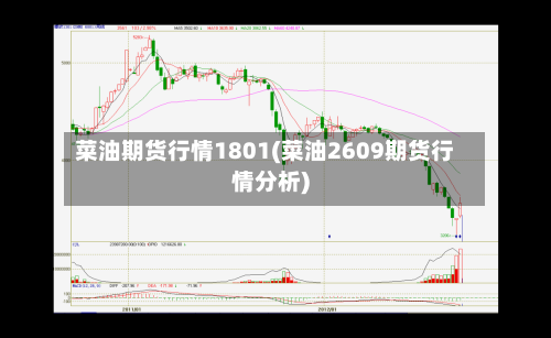 菜油期货行情1801(菜油2609期货行情分析)