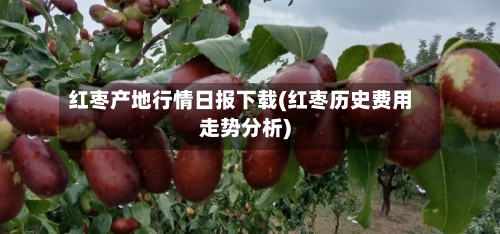 红枣产地行情日报下载(红枣历史费用走势分析)-第1张图片
