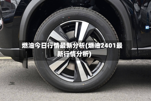 燃油今日行情最新分析(燃油2401最新行情分析)-第2张图片
