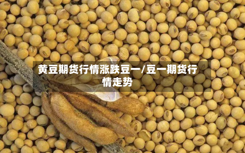 黄豆期货行情涨跌豆一/豆一期货行情走势