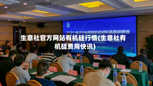 生意社官方网站有机硅行情(生意社有机硅费用快讯)-第2张图片