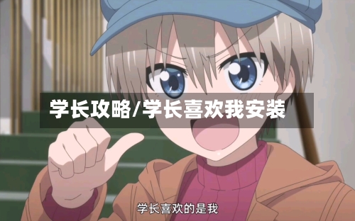 学长攻略/学长喜欢我安装