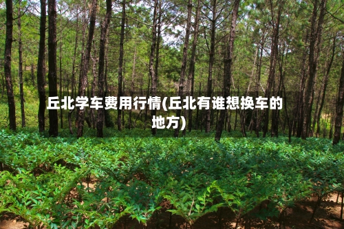 丘北学车费用行情(丘北有谁想换车的地方)