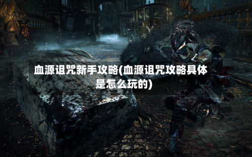 血源诅咒新手攻略(血源诅咒攻略具体是怎么玩的)